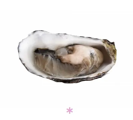French oysters