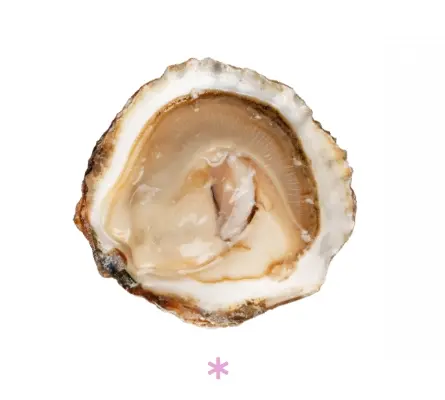 French oysters