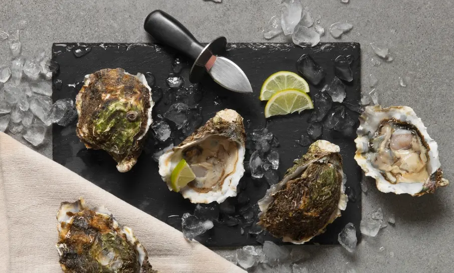 French oysters