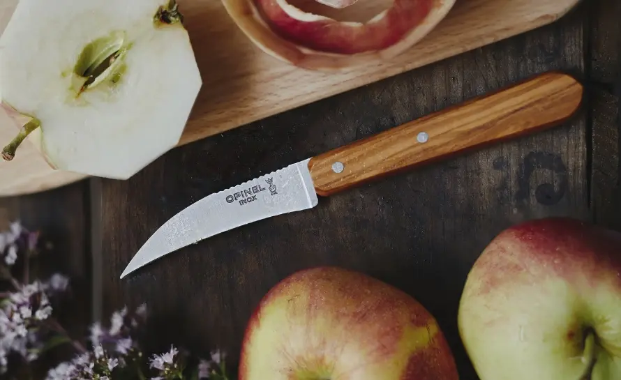 French kitchen knives