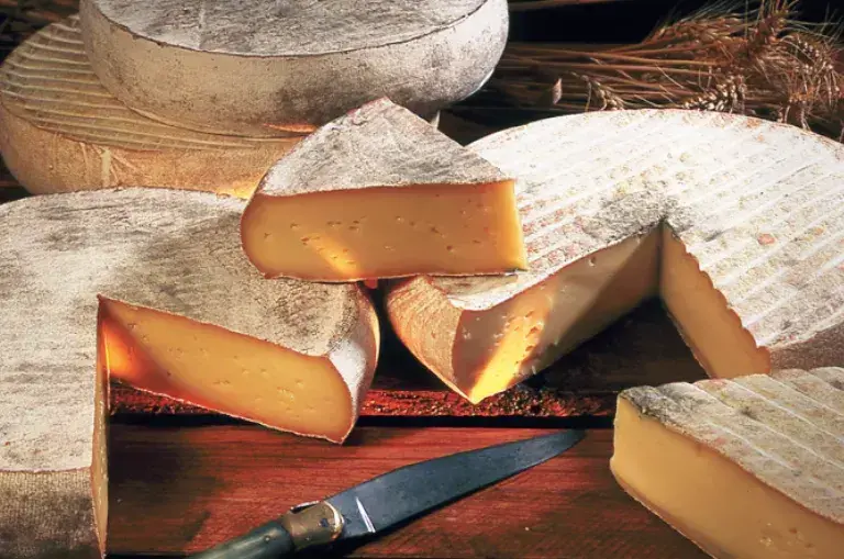 pressed cheeses