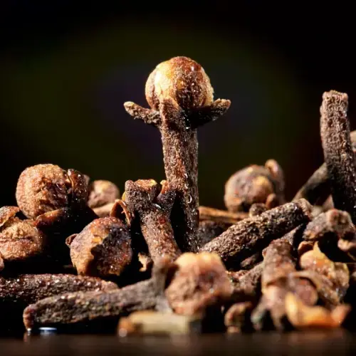 Cloves