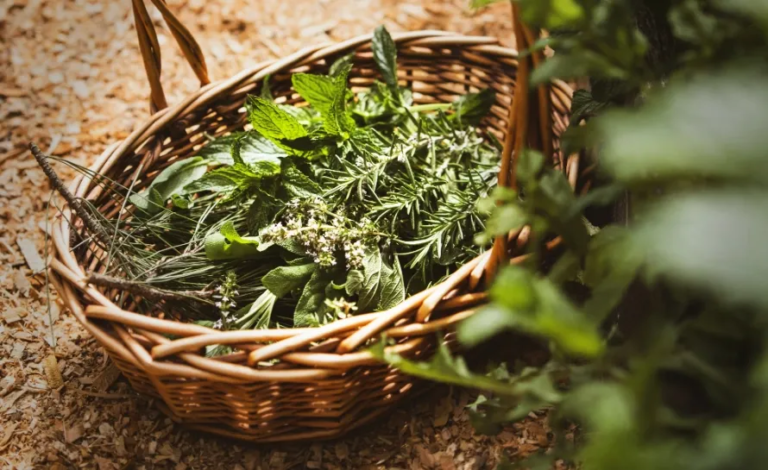 French herbs and spices