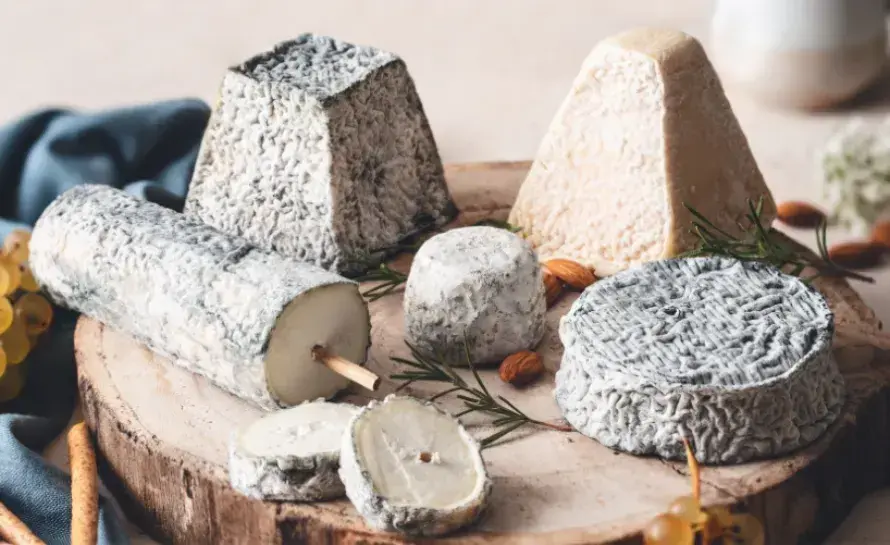 Goat Cheese