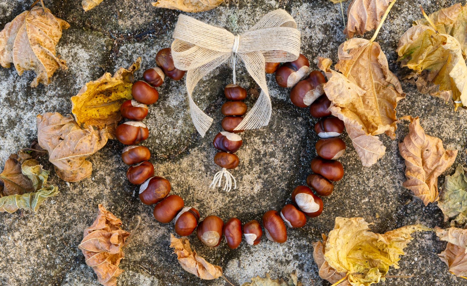 chestnuts conkers wreath